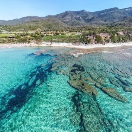 Minorca *